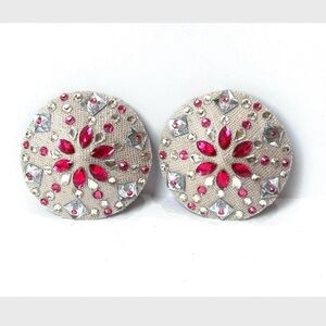 Elegant Pink and Silver Pasties